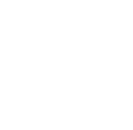 TIDS